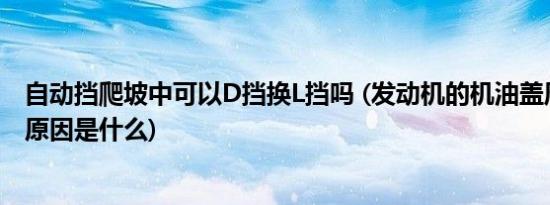 自动挡爬坡中可以D挡换L挡吗 (发动机的机油盖周围有油的原因是什么)