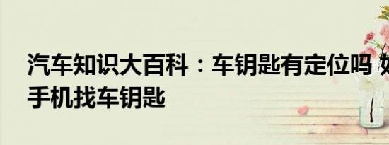 汽车知识大百科：车钥匙有定位吗 如何利用手机找车钥匙