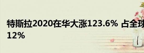 特斯拉2020在华大涨123.6% 占全球营收21.12%