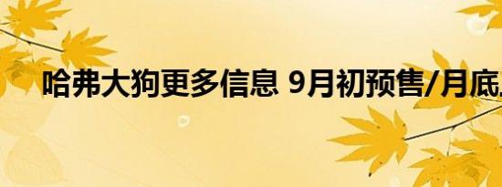 哈弗大狗更多信息 9月初预售/月底上市