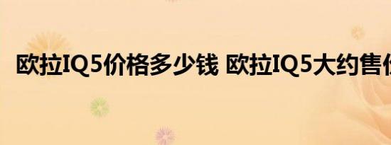 欧拉IQ5价格多少钱 欧拉IQ5大约售价多少