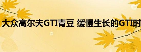 大众高尔夫GTI青豆 缓慢生长的GTI时间胶囊