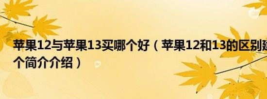 苹果12与苹果13买哪个好（苹果12和13的区别建议买哪一个简介介绍）