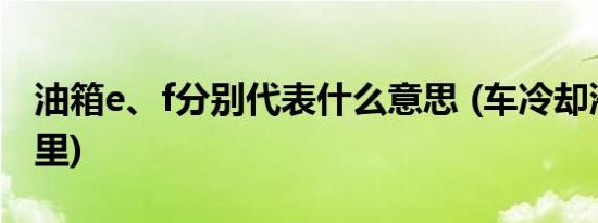 油箱e、f分别代表什么意思 (车冷却液加到哪里)