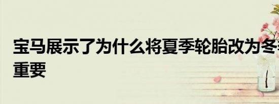 宝马展示了为什么将夏季轮胎改为冬季轮胎很重要