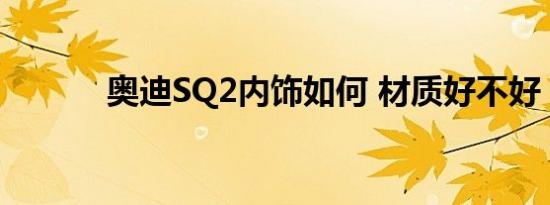 奥迪SQ2内饰如何 材质好不好 