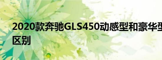 2020款奔驰GLS450动感型和豪华型配置的区别