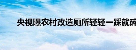 央视曝农村改造厕所轻轻一踩就碎了