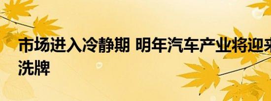 市场进入冷静期 明年汽车产业将迎来新一轮洗牌