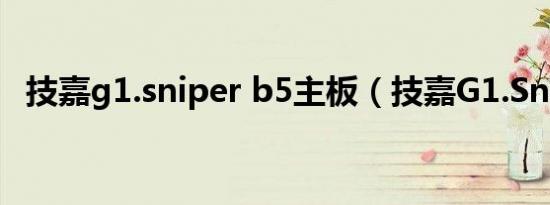 技嘉g1.sniper b5主板（技嘉G1.Sniper）