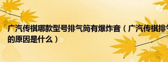 广汽传祺哪款型号排气筒有爆炸音（广汽传祺排气系统故障的原因是什么）