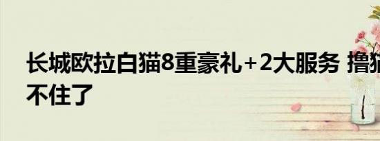 长城欧拉白猫8重豪礼+2大服务 撸猫少年忍不住了