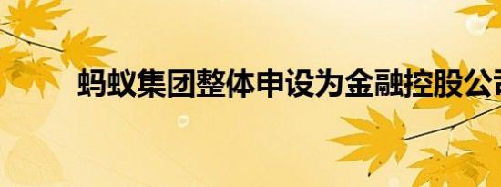 蚂蚁集团整体申设为金融控股公司