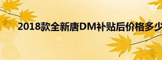 2018款全新唐DM补贴后价格多少钱 