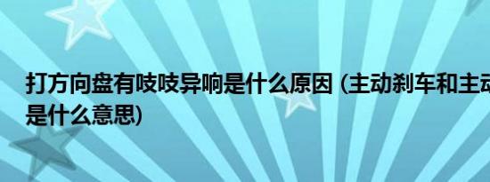 打方向盘有吱吱异响是什么原因 (主动刹车和主动安全系统是什么意思)