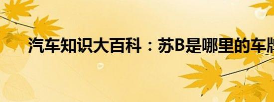 汽车知识大百科：苏B是哪里的车牌号