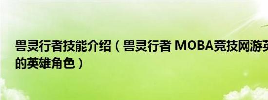 兽灵行者技能介绍（兽灵行者 MOBA竞技网游英雄联盟中的英雄角色）