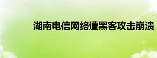 湖南电信网络遭黑客攻击崩溃