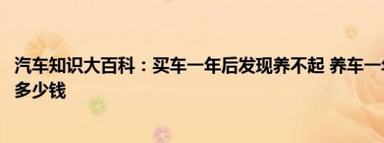 汽车知识大百科：买车一年后发现养不起 养车一年费用大概多少钱