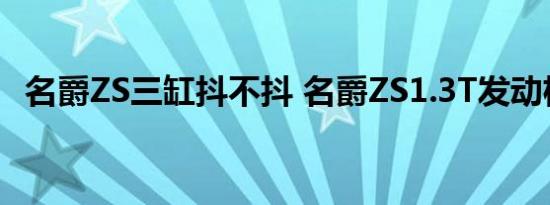 名爵ZS三缸抖不抖 名爵ZS1.3T发动机可靠吗 