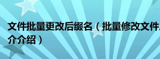 文件批量更改后缀名（批量修改文件后缀名简介介绍）