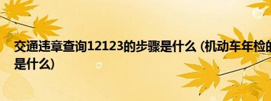 交通违章查询12123的步骤是什么 (机动车年检的时间规定是什么)