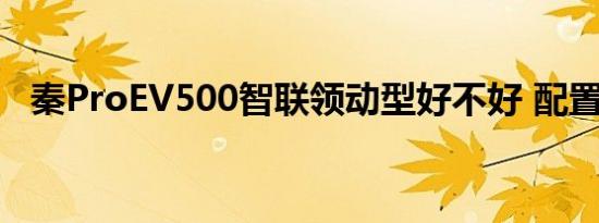 秦ProEV500智联领动型好不好 配置如何 