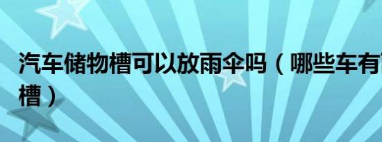 汽车储物槽可以放雨伞吗（哪些车有雨伞收纳槽）