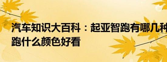 汽车知识大百科：起亚智跑有哪几种颜色 智跑什么颜色好看