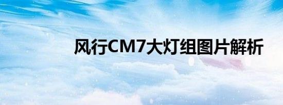 风行CM7大灯组图片解析