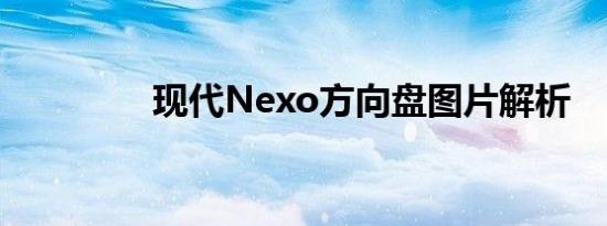 现代Nexo方向盘图片解析