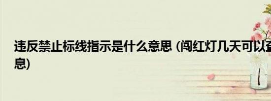 违反禁止标线指示是什么意思 (闯红灯几天可以查到违章信息)