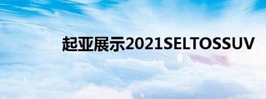 起亚展示2021SELTOSSUV