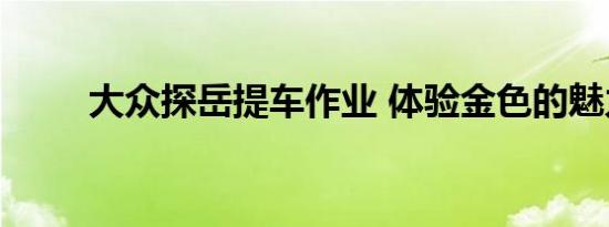 大众探岳提车作业 体验金色的魅力