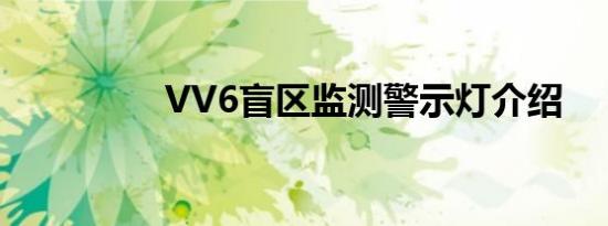 VV6盲区监测警示灯介绍