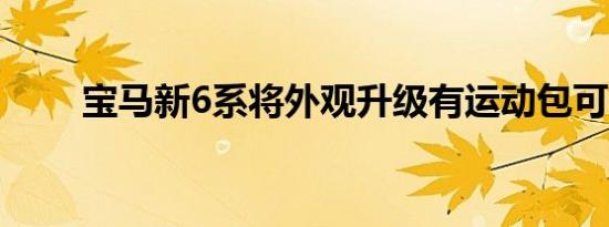 宝马新6系将外观升级有运动包可选