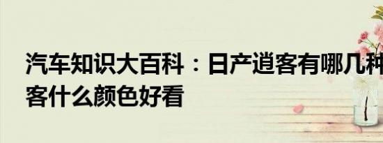 汽车知识大百科：日产逍客有哪几种颜色 逍客什么颜色好看