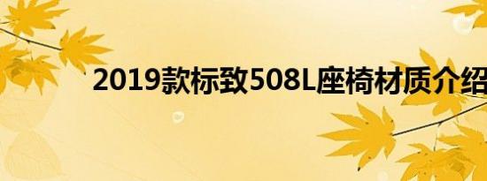 2019款标致508L座椅材质介绍