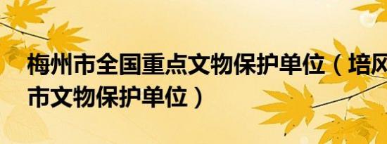 梅州市全国重点文物保护单位（培风塔 梅州市文物保护单位）