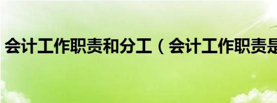 会计工作职责和分工（会计工作职责是什么）