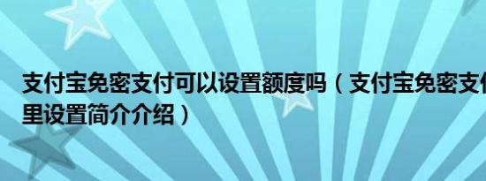 支付宝免密支付可以设置额度吗（支付宝免密支付额度在哪里设置简介介绍）