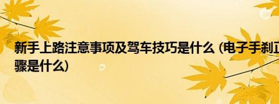 新手上路注意事项及驾车技巧是什么 (电子手刹正确使用步骤是什么)