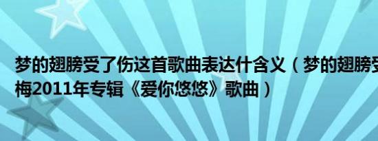 梦的翅膀受了伤这首歌曲表达什含义（梦的翅膀受了伤 段玫梅2011年专辑《爱你悠悠》歌曲）