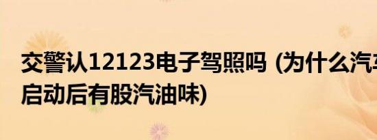 交警认12123电子驾照吗 (为什么汽车在冷车启动后有股汽油味)