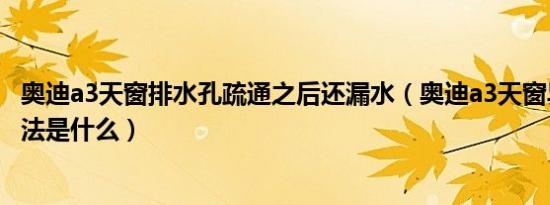 奥迪a3天窗排水孔疏通之后还漏水（奥迪a3天窗异响解决办法是什么）