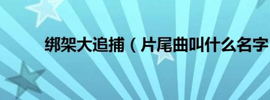 绑架大追捕（片尾曲叫什么名字）