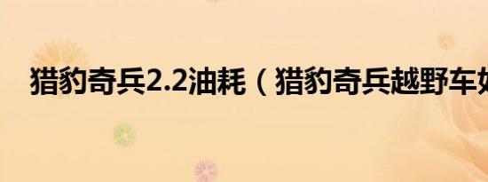 猎豹奇兵2.2油耗（猎豹奇兵越野车如何）