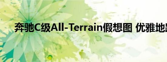 奔驰C级All-Terrain假想图 优雅地跨界