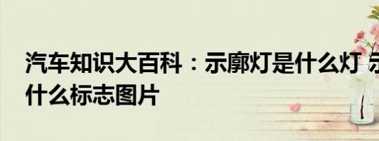 汽车知识大百科：示廓灯是什么灯 示廓灯是什么标志图片