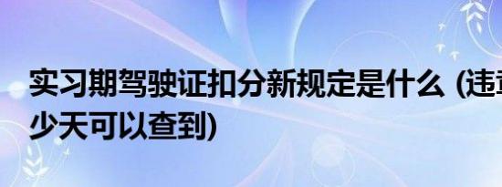 实习期驾驶证扣分新规定是什么 (违章一般多少天可以查到)